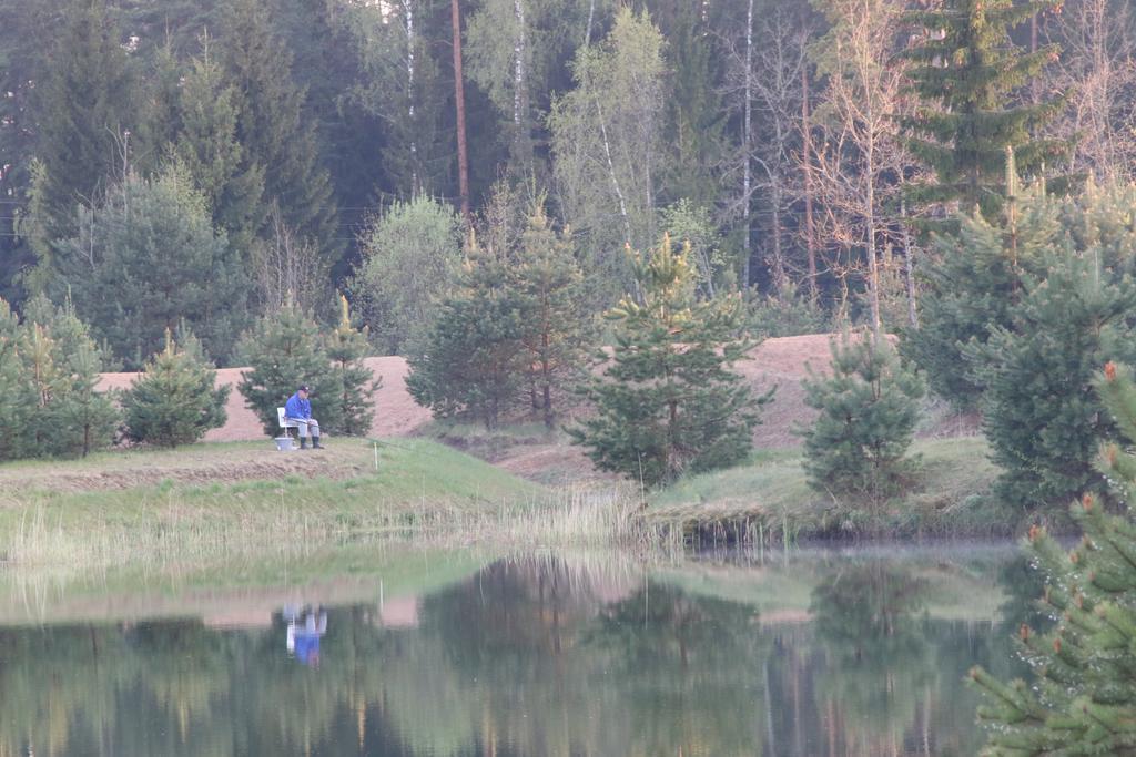 Viesu Maja Forrest Vila Dzimtmisa Exterior foto
