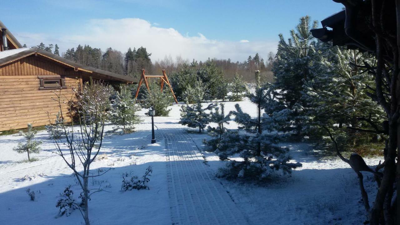 Viesu Maja Forrest Vila Dzimtmisa Exterior foto